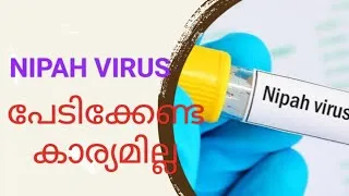 Thumbnail: 🔴 NIPAH VIRUS | അറിഞ്ഞിരിക്കേണ്ട കാര്യങ്ങൾ | നിപ്പ | Nipah alert | Kozhikode