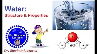 Thumbnail: Water: Structure and Properties