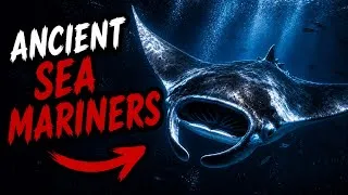 Thumbnail: Giant Manta Rays:The Ghostly Sentinels of the Open Ocean Deep