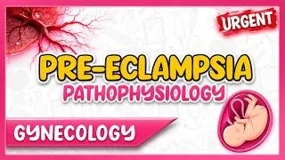 Thumbnail: Easily Understand the Pathophysiology of Preeclampsia (and also Normal Placentation)