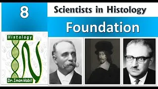 Thumbnail: 8-Scientists in Histology-Foundation-Cell,Epithelium,Connective tissue