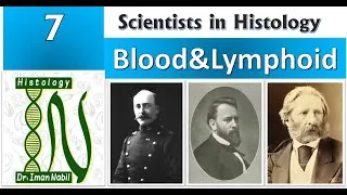 Thumbnail: 7-Scientists in Histology-Blood and Lymphoid system