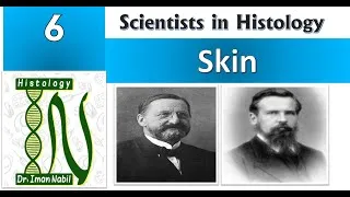 Thumbnail: 6-Scientists in Histology-Skin