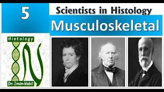 Thumbnail: 5-Scientists in Histology-Musculoskeletal system