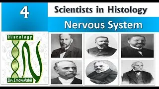 Thumbnail: 4-Scientists in Histology-Nervous system