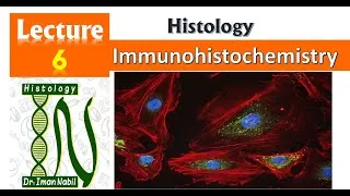 Thumbnail: Principles of Immunohistochemistry