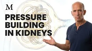 Thumbnail: What Your Kidneys Feel Every Single Day | Mercola Cellular Wisdom