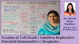 Thumbnail: Evasion of Cell Death | Limitless Replicative Potential (Immortality) | Neoplasia |