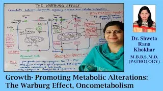 Thumbnail: Growth- Promoting Metabolic Alterations: The Warburg Effect || Oncometabolism || Autophagy ||