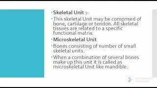 Thumbnail: Functional Matrix Theory
