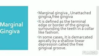 Thumbnail: Gingiva Macroscopic Features