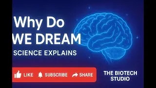 Thumbnail: Why Do We Dream? | Latest Scientific Theories Explained (Neuroscience 2025)
