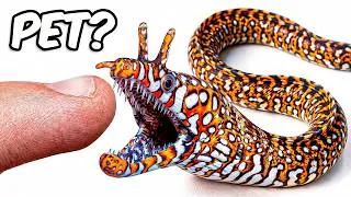 Thumbnail: I Bought 4 Deadliest Sea Monsters Off The Web!