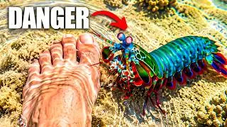 Thumbnail: I Got a Pet Alien!