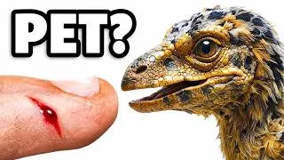 Thumbnail: I Hatched a Pet Dinosaur! Cloning a Prehistoric Pet