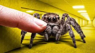 Thumbnail: Smartest Insects in The Backrooms!