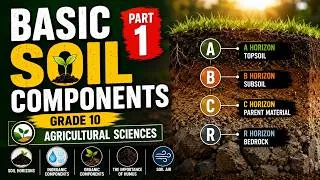 Thumbnail: Basic Soil Components | Part 1 | Grade 10 | Agricultural Sciences