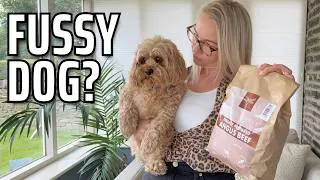 Thumbnail: Your Dog's Being Fussy? This Is Why (And How to Stop It)