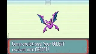 Thumbnail: How to get Crobat in Pokemon Ruby / Sapphire / Emerald + tips to get happiness fast