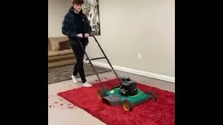 Thumbnail: Mowing the carpet