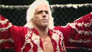 Thumbnail: FLAIR FOR GOLD - Coming 2013