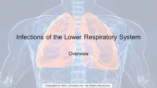 Thumbnail: Lower Respiratory Tract Infections Overview