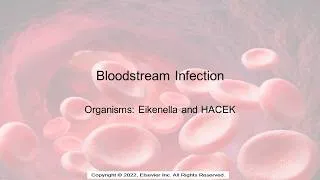 Thumbnail: Bloodstream Infections: Eikenella and AACEK