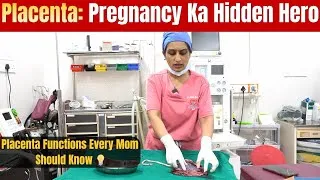 Thumbnail:     Pregnancy Mein Placenta Ka Kya Kaam Hota Hai? Full Explanation