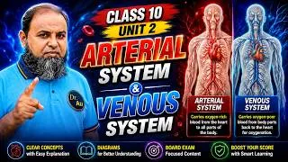 Thumbnail: Arterial System,Venous System,Unit 2 Circulatory system,Class 10 biology,FBISE,NBF