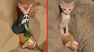 Thumbnail: What Is This Cat Doing?!