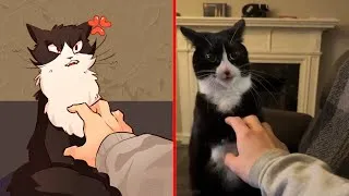 Thumbnail: This Is What Happens When You Push a Cat Too Far