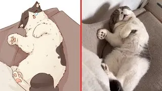 Thumbnail: These Cats Are UNHINGED and We Love It 😹