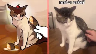 Thumbnail: Is This A Real Cat Or A Cake 😂