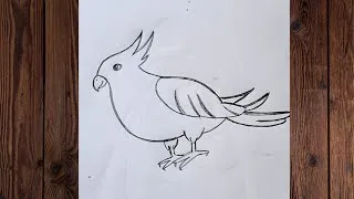 Thumbnail: How to draw parrot/Parrot Bird Simple Drawing 