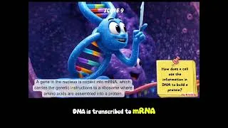 Thumbnail: A&P Episode 2: Journey Inside the Cell