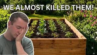 Thumbnail: We Finally Planted Our Garden — Tomatoes, Cucumbers, Peppers & More (Ep. 3)