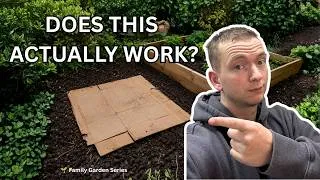 Thumbnail: I Put Cardboard Under My Raised Beds Instead of Removing the Grass… Here's What Happened (Ep. 2)