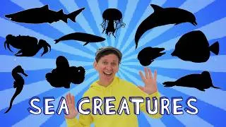 Thumbnail: Sea Creatures | Shadow Game and Song, Vocabulary Builder | Dream English Kids