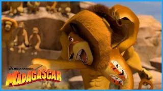Thumbnail: Alex Must Fight!!🥊 | DreamWorks Madagascar