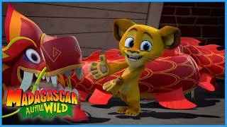 Thumbnail: The Star Of The Parade🐉🎊 | DreamWorks Madagascar