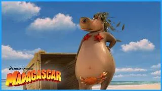 Thumbnail: Gloria, Everyone's Favourite Hippo!🦛 | DreamWorks Madagascar