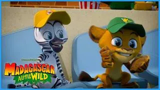 Thumbnail: Best Fans Day!🏟️🦒 | DreamWorks Madagascar