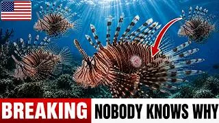 Thumbnail: FOUR Out Of Ten LIONFISH Came Up With Holes In Them — SCIENTISTS Still CAN'T Explain It!