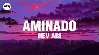 Thumbnail: HEV ABI - AMINADO