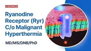 Thumbnail: RYANODINE RECEPTOR | MEDICAL BLOG VIDEO SERIES