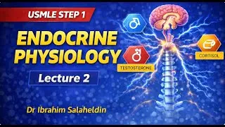 Thumbnail: Endocrine Physiology – Lecture 2 | Pituitary & Hormone Regulation | USMLE Step 1