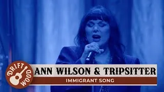 Thumbnail: Ann Wilson & Tripsitter - Rusty Robots