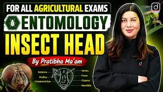 Thumbnail: Insect Head Anatomy Explained | Entomology for All Agricultural Exams | Entomology By Pratibha Ma'am