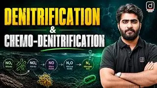 Thumbnail: Denitrification & Chemo-Denitrification | Nitrogen Cycle | Soil Science | Agriculture Exams