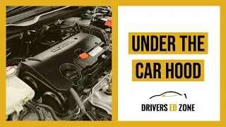 Thumbnail: DRIVERS ED ZONE: "Under the Car Hood"